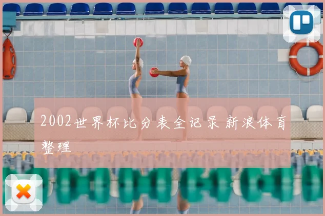 2002世界杯比分表全记录 新浪体育整理