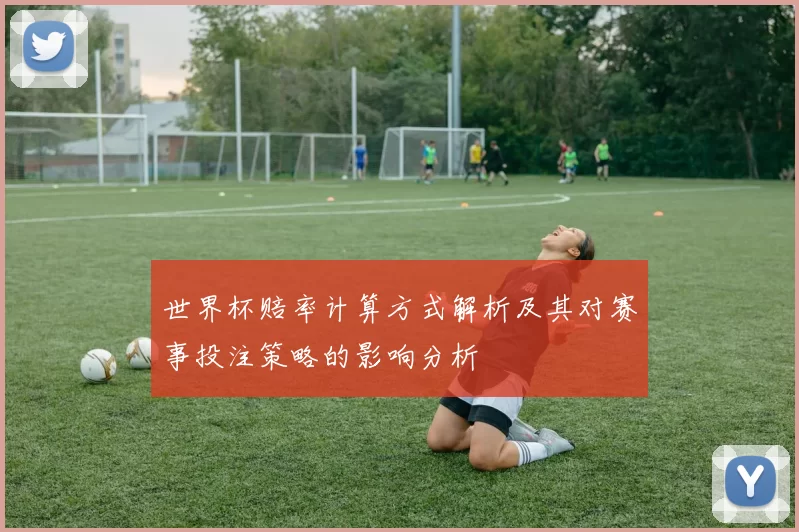 世界杯赔率计算方式解析及其对赛事投注策略的影响分析