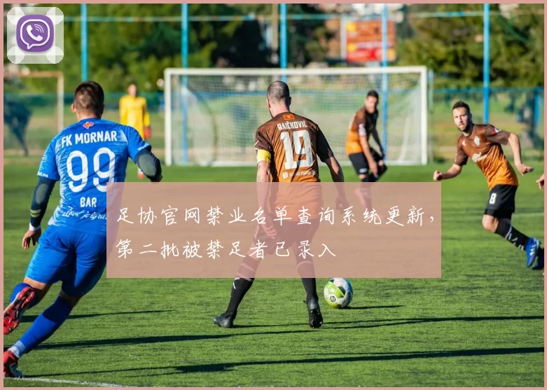 足协官网禁业名单查询系统更新，第二批被禁足者已录入