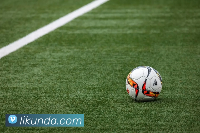 星空app官方登录入口网址平台生态图