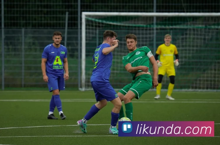 星空app官方登录入口网址全站App